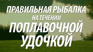 КАК ЛОВИТЬ РЫБУ НА ПОПЛАВОЧНУЮ УДОЧКУ В ПРОВОДКУ С БЕРЕГА
