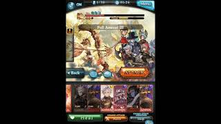 Dark Berserker Class Champion Weapon Fist Team Test vs Apollo - Granblue Fantasy