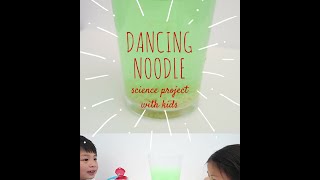 Dancing Noodle - Science Project