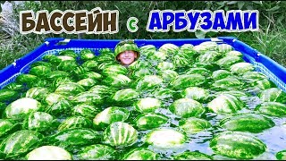 БАССЕЙН С АРБУЗАМИ | НЕ ДОМ - DIY