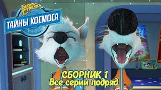 Белка и Стрелка. Тайны космоса - Сборник 1. Все серии подряд | Познавательный мультфильм