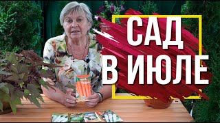Июль в Саду ✔️ Основные работы на огороде ? Что посадить летом