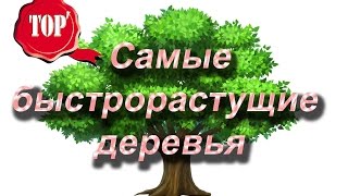 Топ 7 Самые быстрорастущие деревья и растения мира