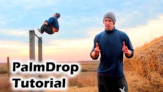 Как научиться PalmDrop за одну тренировку (Palm Drop Tutorial)
