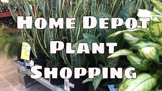 Home Depot Big Box Store Plant Shopping Houseplants Tropical Plants Succulents Indoor Outdoor