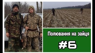 Полювання на зайця #6 Відкриття полювання вдалося