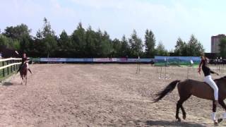Управление лошадью без седла и уздечки "Показательное выступление Школы имени генерала Бакланова"