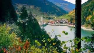 О природе!!  Утреннее пение птиц!!!