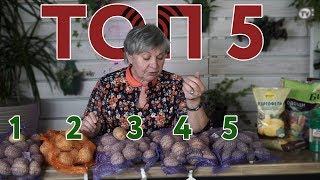 Топ 5 Сортов Картофеля И НОВИНКИ Картофеля ?  Идеальный Картофель ? Советы от Хитсад ТВ