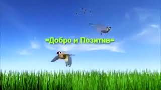 сука ты конченая козлина ты ёбаная блять дибил ты ёбаный блять ты гандон блять п