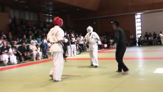 徳川杯空手道選手権大会2014　決勝戦　壮年男子初級