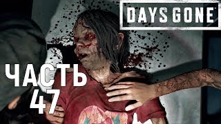 Days gone|Жизнь после прохождение➤Часть 47➤Живой шакал.