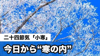 二十四節気「小寒」 今日から“寒の内”
