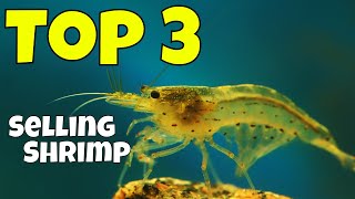 The Top Three (3) Best Selling Shrimp in Our Hobby