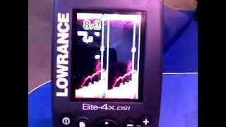 Эхолот Lowrance Elite 4x DSI