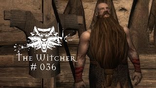 WITCHER - Das Leben ist kein Wunschkonzert [036] - Let's Play The Witcher