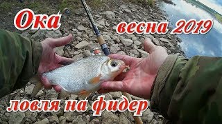Ока. Ловля на фидер весной 2019г.