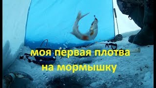 Поклевки плотвы зимой! Поймал своего первого чебака! Зимняя рыбалка на Шершнях Челябинская область