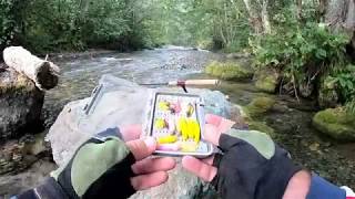 კალმახი ველურ ბუნებაში. favorite area stream, select deeper