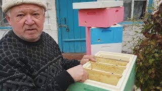 ВСЁ О ПЧЕЛОВОДСТВЕ Измайлов Геннадий Брониславович Ответы на вопросы