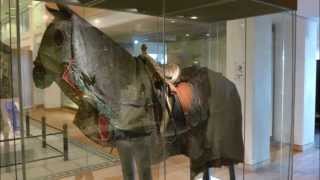 Tipu Sultan History