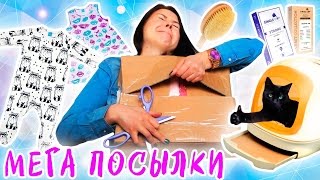 РАСПАКОВКА ОГРОМНЫХ ПОСЫЛОК / Unboxing haul