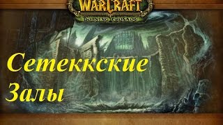 Где находится вход в подземелье "Сетеккские залы"? Where is the dungeon "'Sethekk Halls"?
