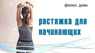 Фитнес тренировка дома. Растяжка для начинающих