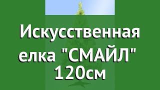 Искусственная елка СМАЙЛ (Царь Ёлка) 120см обзор C-120с производитель Царь Ёлка ПК (Россия)