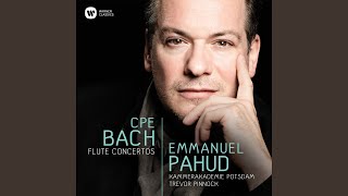 Flute Concerto in D Minor, Wq 22, H. 425: I. Allegro