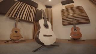 CONSTRUCCIÓN DE GUITARRA DE DOBLE TAPA