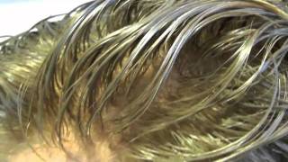 Protesi di capelli naturali