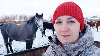 ОБЗОР нашей ФЕРМЫ?My Farm Overview