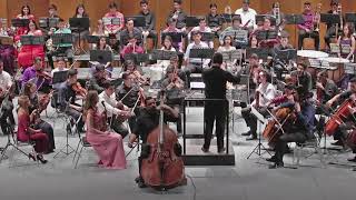Serge Koussevitzky:  Concerto Op.3, Gabriel Robles - Double Bass