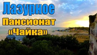 ЛАЗУРНОЕ 2019. Пансионат ЧАЙКА. ПЛЯЖ. МОРЕ. ПИТАНИЕ. НОМЕР. ПОДВОДНЫЙ МИР.