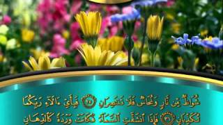سورة الرحمن :: فضيلة الشيخ حاتم فريد الواعر