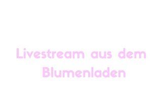 Livestream #80: Der Frühling kann kommen