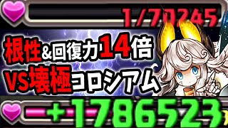 【これが2020年の根性パ】リィで壊滅極限コロシアムクリア！【パズドラ　龍契士&龍喚士】