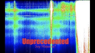 Incredible! Schumann Resonance at 40 hertz - MAJOR frequency rise