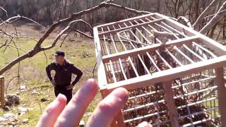 ловля красношапочного вьюрка часть 2