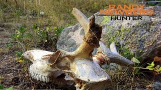Hunting Wyoming Archery Elk with Randy Newberg (FT S4 E4)