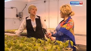 Пошкудем 19 03 2019