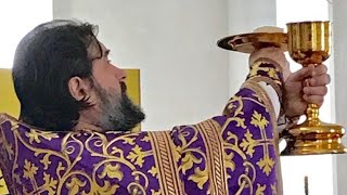 Проповедь на Божественной Литургии (АУДИО).  Прот.Андрей Ткачёв (24.03.2019г.)