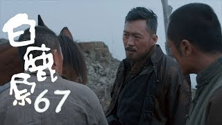 白鹿原 | White Deer 67【DVD版】（張嘉譯、秦海璐、何冰等主演）