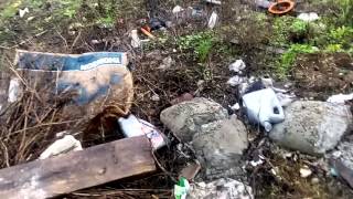 ЭКОЛОГИЯ В МОЕЙ ЖИЗНИ (МУСОР – ГЛОБАЛЬНАЯ ЭКОЛОГИЧЕСКАЯ ПРОБЛЕМА. АНТРОПОГЕННЫЕ ФАКТОРЫ.)