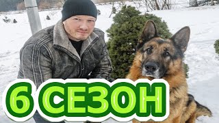 Пес 6 сезон 1 серия (23 серия) - Дата выхода