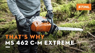 The STIHL MS 462 C-M tested in the forests of France