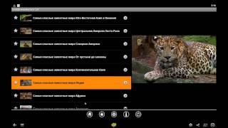 Openbox A1 Multimedia Box Kartina TV HDMI USB WIFI Russkoe tv ohne ABO