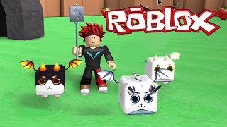 ROBLOX UN MUNDO DE DRAGONES!! Dragon Simulator