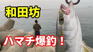 #10　ハマチ大爆釣♪